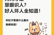 揭秘好人与坏人小游戏攻略（游戏技巧、策略和胜利秘籍大揭秘）