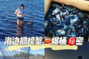 LOL螃蟹出装攻略（解密LOL游戏中不同螃蟹出装的策略与技巧）