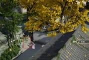 霜火岭藏宝图攻略，解锁财富之门（探索霜火岭，揭示神秘宝藏的奥秘）