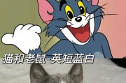 猫鼠大战（从知识卡道具到装配推荐，带你玩转猫鼠大战！）